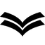 Spatial Data Systems Icon